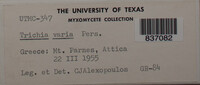 Image Associated With the Occurence